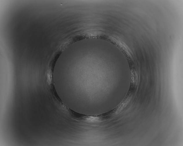 X0000102500718200808081349