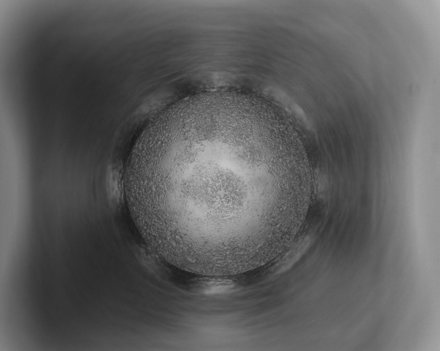 X0000102500719200808081349