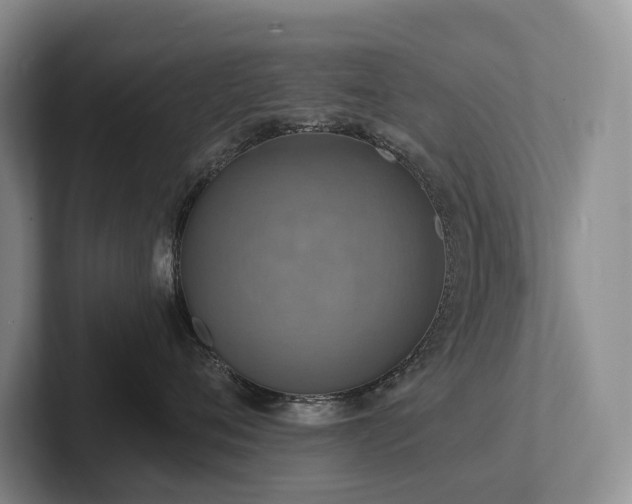 X0000102500720200808081349