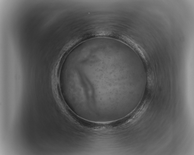X0000102500721200808081348