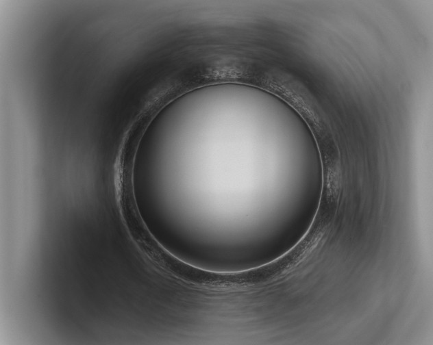 X0000102500722200808081348