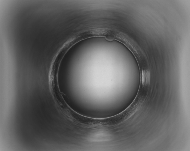 X0000102500723200808081348