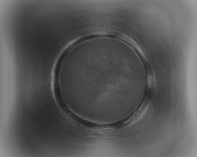 X0000102500724200808081348