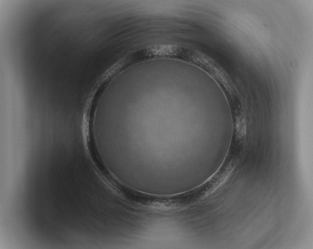 X0000102500725200808081348