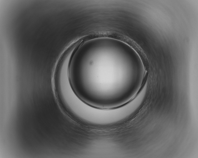 X0000102500726200808081348