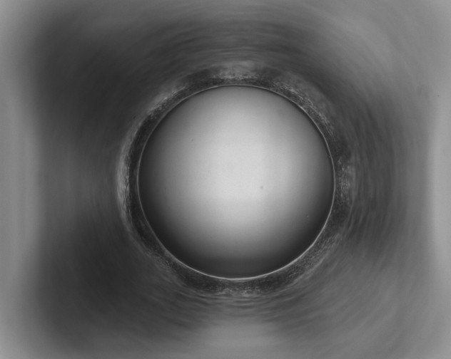 X0000102500727200808081348