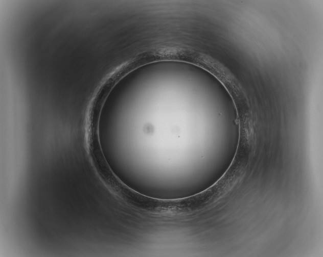 X0000102500728200808081348