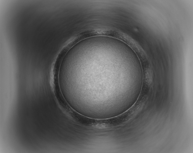 X0000102500730200808081348