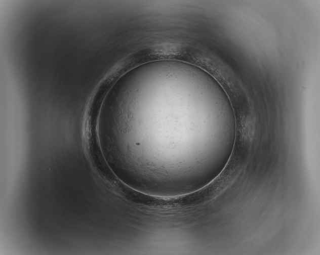 X0000102500731200808081348