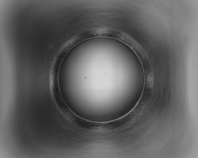 X0000102500732200808081348