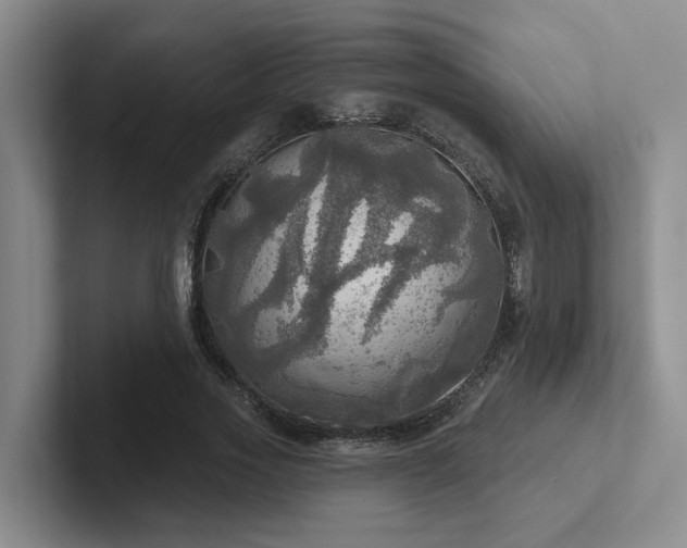 X0000102500733200808081348