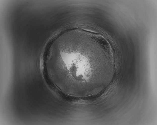 X0000102500734200808081348