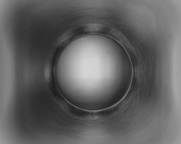 X0000102500735200808081348