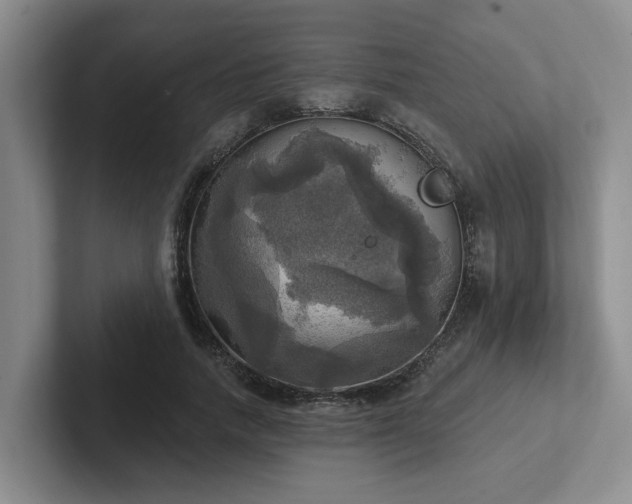 X0000102500738200808081348
