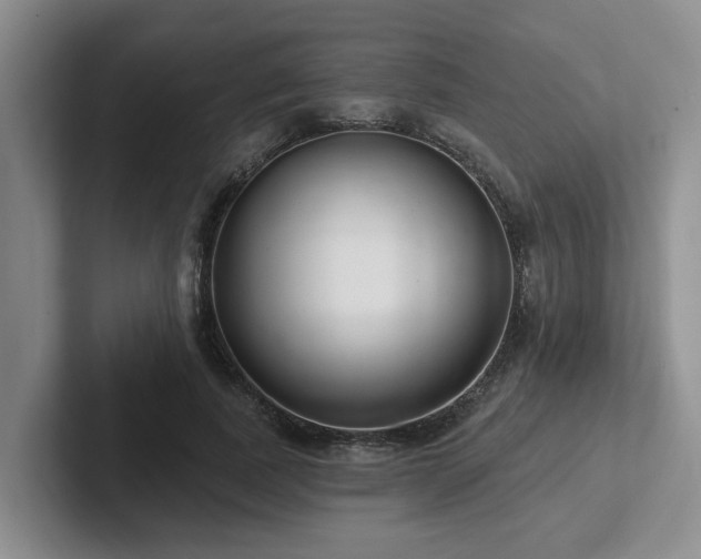 X0000102500739200808081348