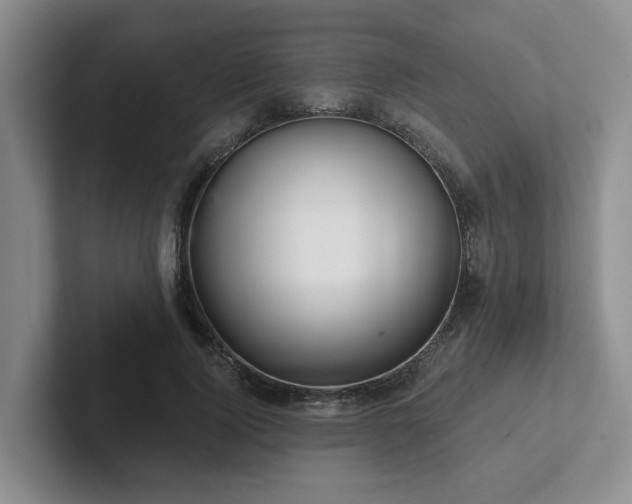 X0000102500740200808081348