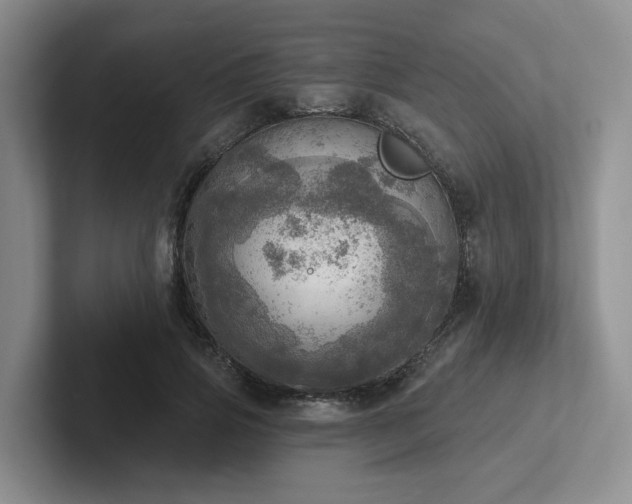X0000102500741200808081348
