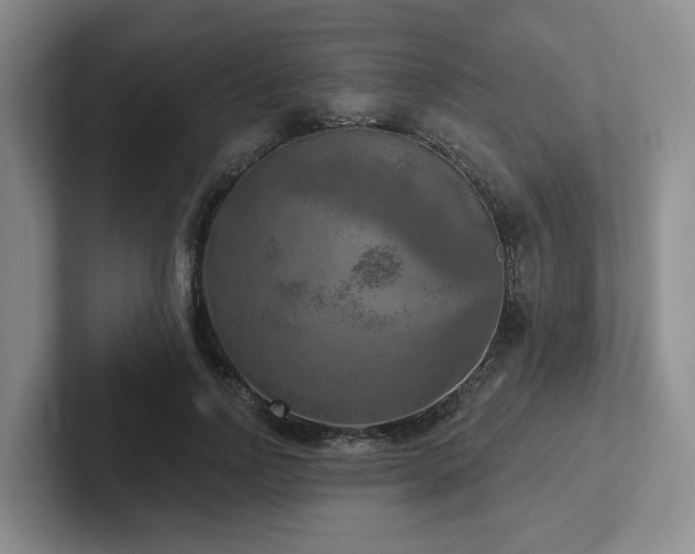 X0000102500742200808081348