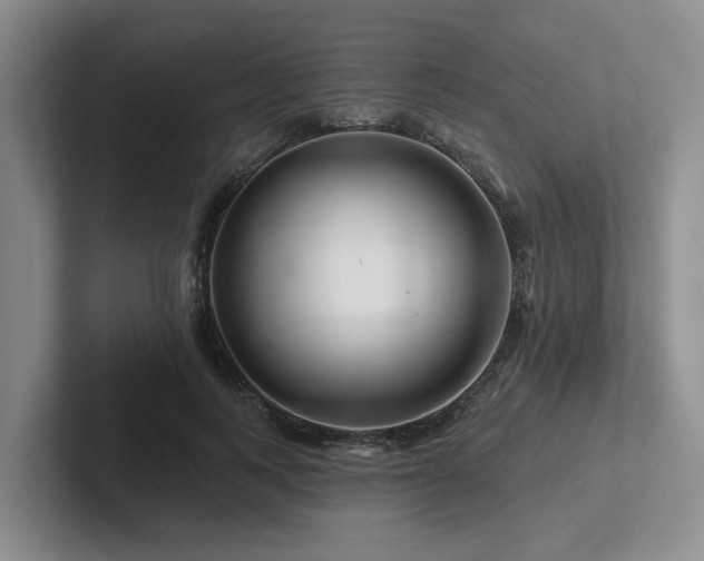 X0000102500743200808081348