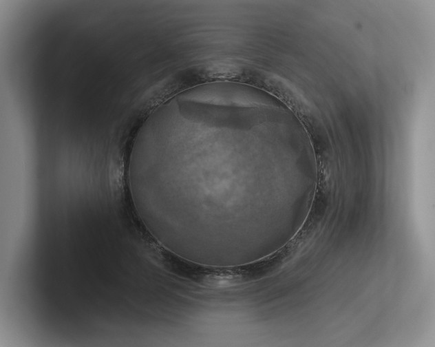X0000102500745200808081348