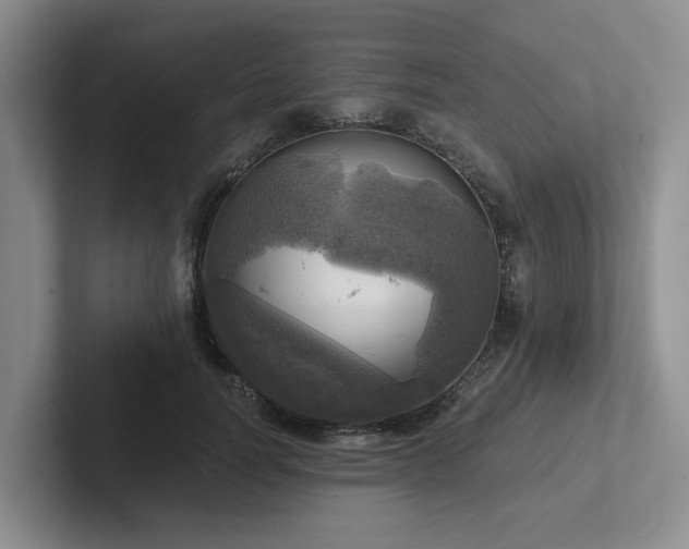 X0000102500746200808081348
