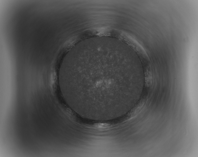 X0000102500748200808081348