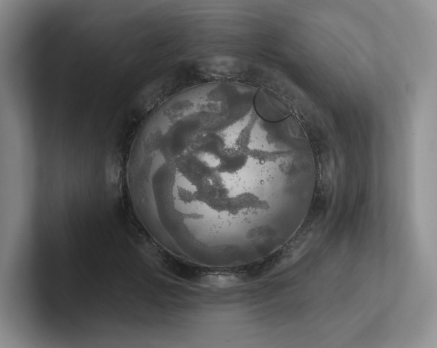 X0000102500749200808081348
