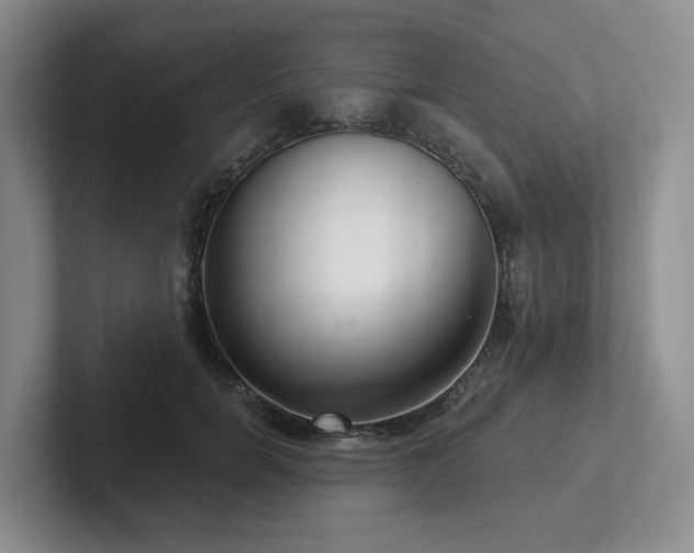 X0000102500750200808081348