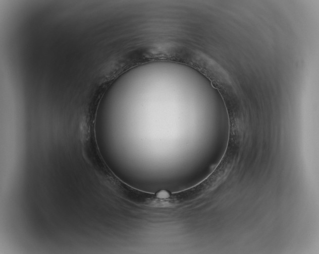 X0000102500751200808081348