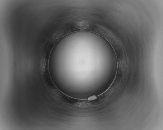 X0000102500752200808081348