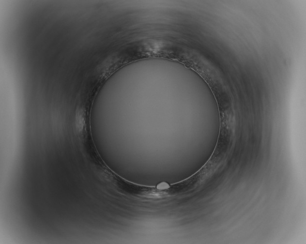 X0000102500754200808081348