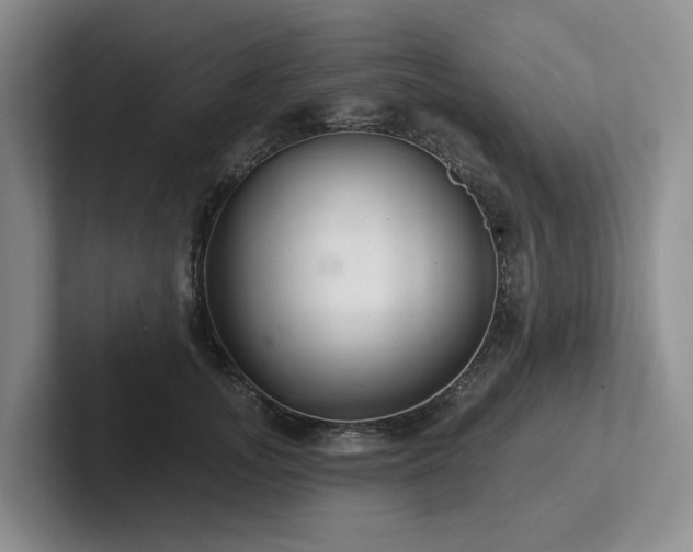 X0000102500755200808081348
