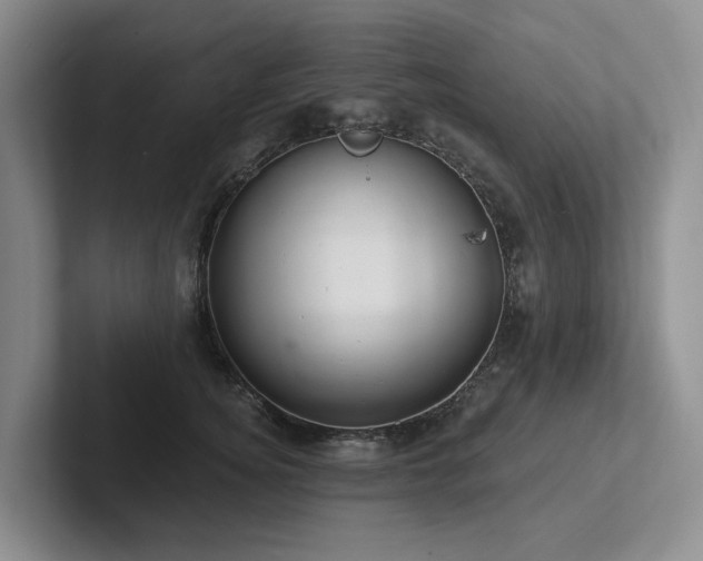 X0000102500756200808081348