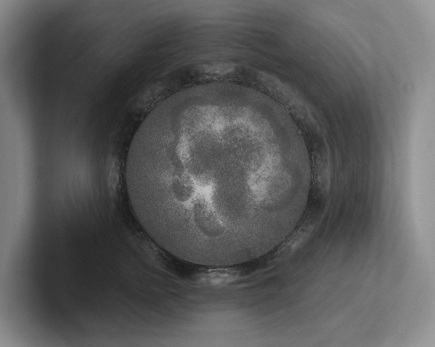 X0000102500758200808081349
