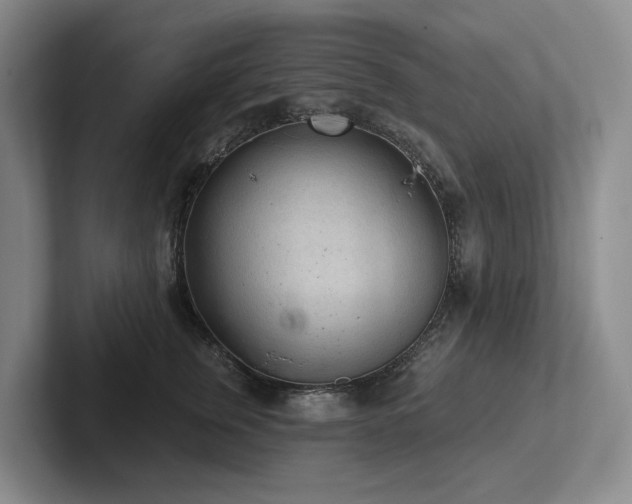X0000102500759200808081349