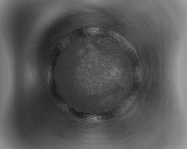 X0000102500760200808081349
