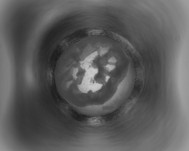 X0000102500761200808081349