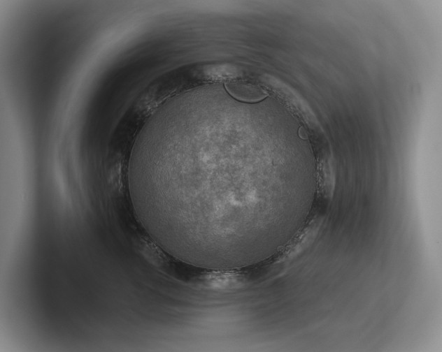 X0000102500762200808081349