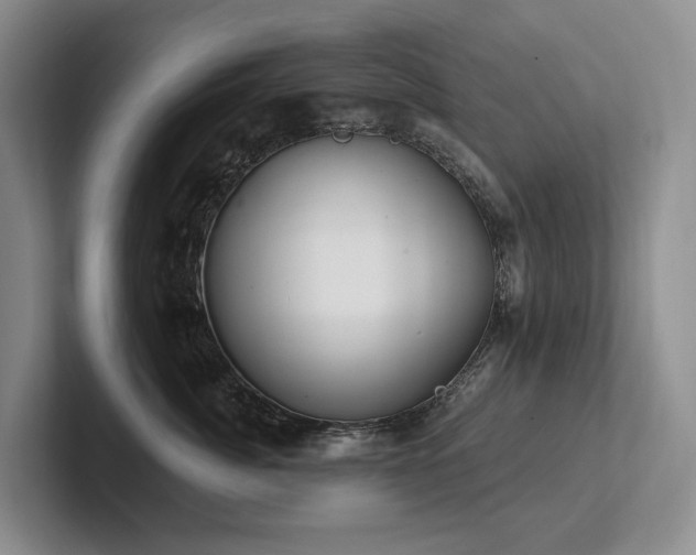 X0000102500764200808081349