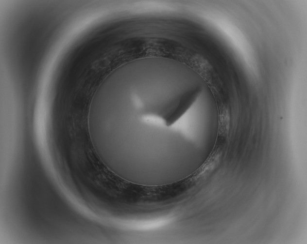 X0000102500765200808081349
