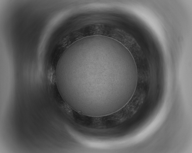 X0000102500766200808081349