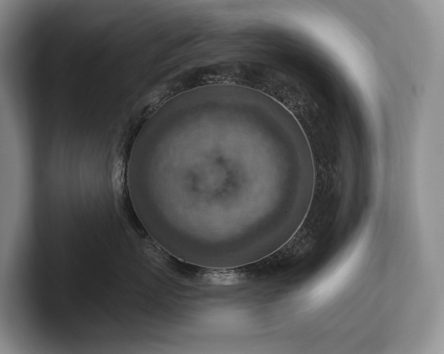 X0000102500767200808081349