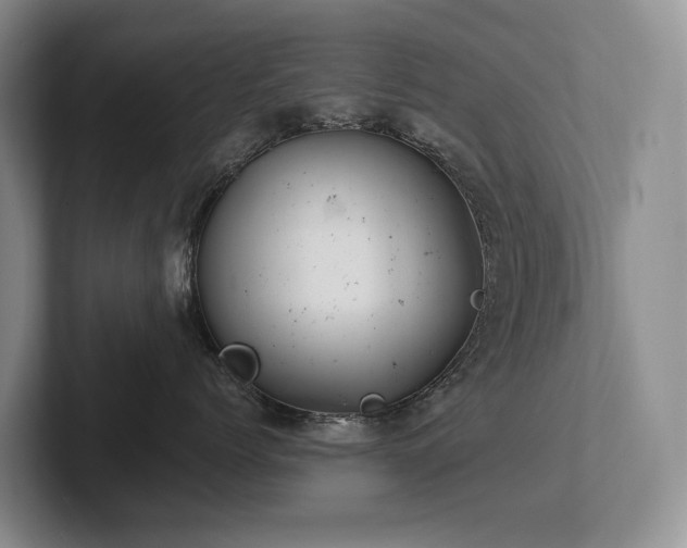 X0000102500768200808081349
