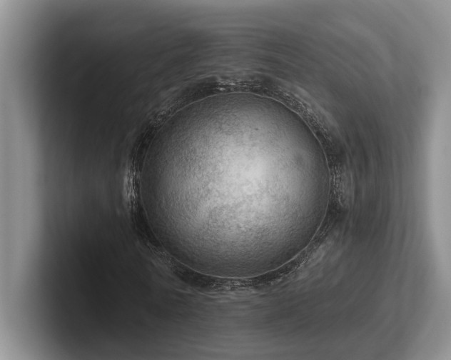 X0000102500770200808081348