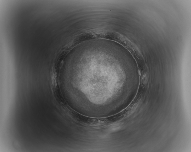 X0000102500772200808081348