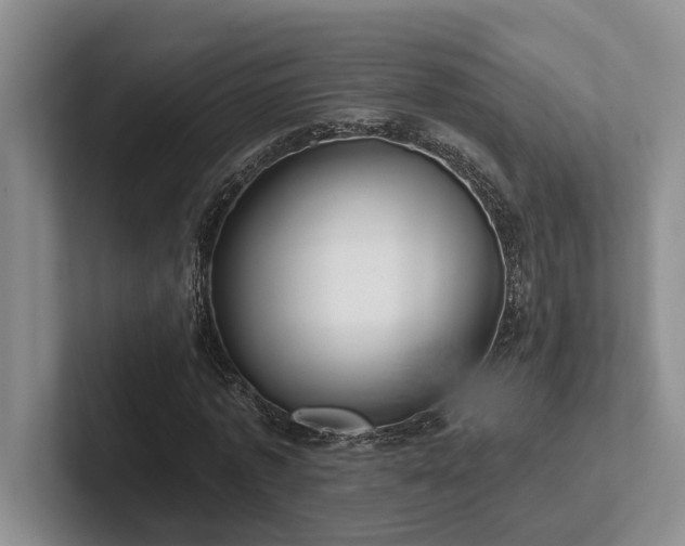 X0000102500773200808081348