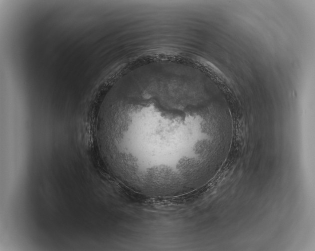 X0000102500774200808081348