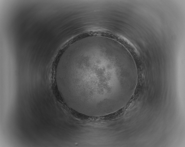 X0000102500775200808081348
