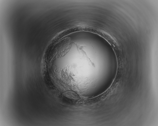 X0000102500776200808081348