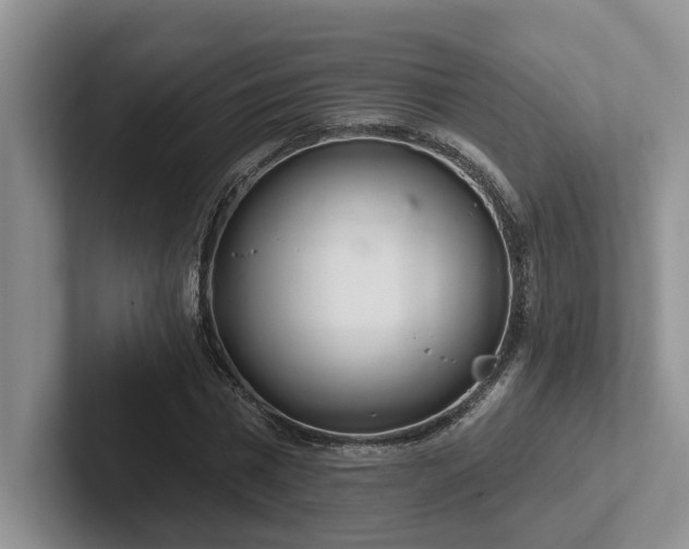 X0000102500777200808081348